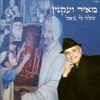מאיר ועקנין - רבי שמעון בר יוחאי