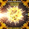 Alive in the Fire - The Remixes (feat. Nathan Brumley) - EP