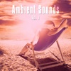 Ambient Sounds, Vol. 1