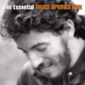 Bruce  Springsteen - The River