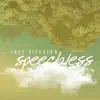 Stream & download Speechless - Single