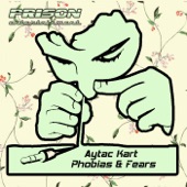 Phobias & Fears (Moe Turk Remix) artwork