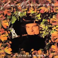 A Sense of Wonder - Van Morrison