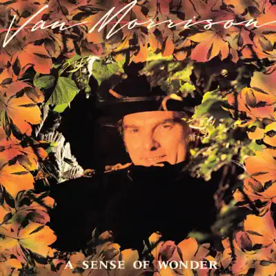 A Sense of Wonder - Van Morrison