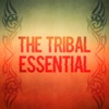 The Tribal Essential, 2014