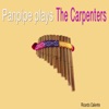 Panpipe Plays the Carpenters