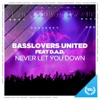 Never Let You Down (Remixes) [feat. D.A.D.] - EP