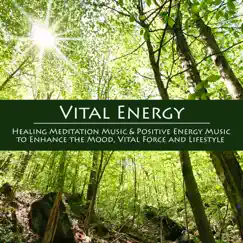 Vital Energy - Healing Meditation Music & Positive Energy Music to Enhance the Mood, Vital Force and Lifestyle by Vital Energy Duo album reviews, ratings, credits