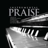 Instrumental Praise 7