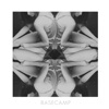 Basecamp - EP artwork