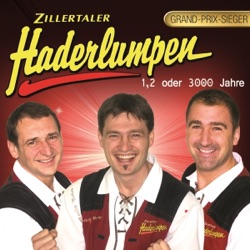 Zillertaler Haderlumpen - Es braucht a Musi