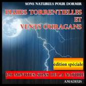 Sons naturels pour dormir : Pluies torrentielles et vents ouragans (Edition spéciale) - Amadeus