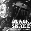 Black Snake, Vol. 2 - EP