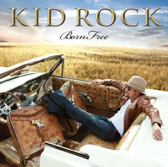 Collide (feat. Sheryl Crow & Bob Seger) by Kid Rock song reviws