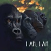 I Am, I Am