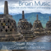 Brain Music - Music for Study, Revision and Learning artwork