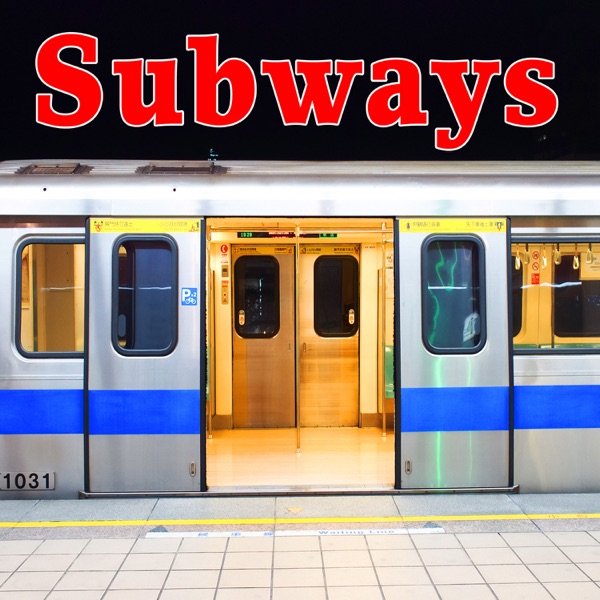Elevated Subway Train Passing Through City 1