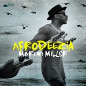 Marcus Miller - Papa Was a Rolling Stone