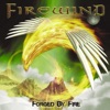 Firewind - Feast of the Savages