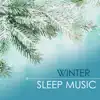 Winter Sleep Music - Relaxing Nature Sounds for a Cold City Night album lyrics, reviews, download