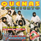 Quenas Concierto: Lo Mejor, Vol. 6 - Los Kjarkas