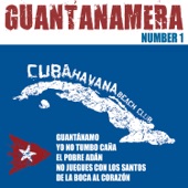 Guantanamera Number 1 artwork