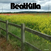 The Best of Beatkilla artwork