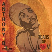 Tears of Luv artwork