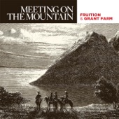 Fruition - Meet Me On the Mountain