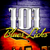 101 Blues Licks - Varios Artistas