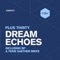 Dream's Echo (BP Remix) artwork