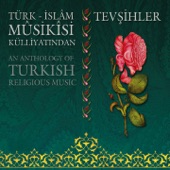 Türk İslâm Mûsikîsi Külliyatından (Tevşihler) artwork