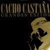 Para vivir un gran amor by Cacho Castaña iTunes Track 1