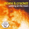 Delano & Mark Drake - Walking On the Moon (Radio Edit)