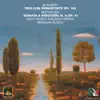 Schubert: Piano Trio, Op. 100 - Beethoven: Sonata Kreutzer, No. 9, Op. 47 album lyrics, reviews, download