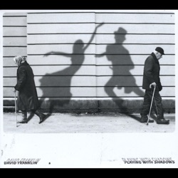 David Franklin - There Used to Be Songbirds