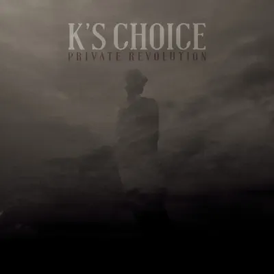 Private Revolution - Single - K's Choice