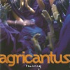 Agricantus