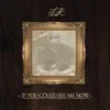 If You Could See Me Now - EP album lyrics, reviews, download