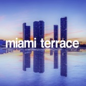 Miami Terrace artwork