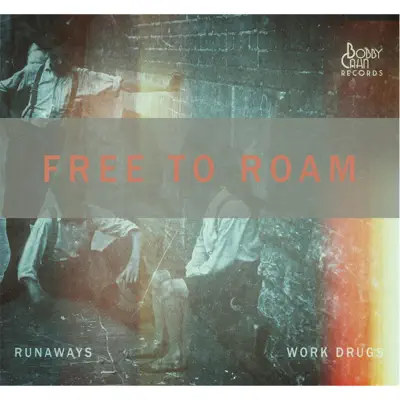Free to Roam - Single - Work Drugs