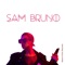 Search Party (Kazy Lambist Remix) - Sam Bruno lyrics
