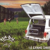 Le grand saut artwork