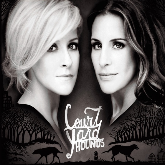 Cover artwork for Gracefully