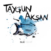 Taygun Aksan - Slow/Fast