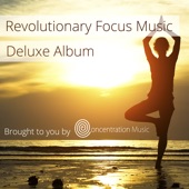 Revolutionary Focus Music - Deluxe Album artwork