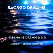 Sacred Dreams - Shaman's Dream