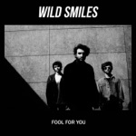 Wild Smiles - Round & Round