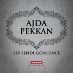 Ajda Pekkan - Sev Sende Gönlünce