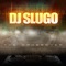 Twerk (Remix) [feat. Belvy] - DJ Slugo lyrics